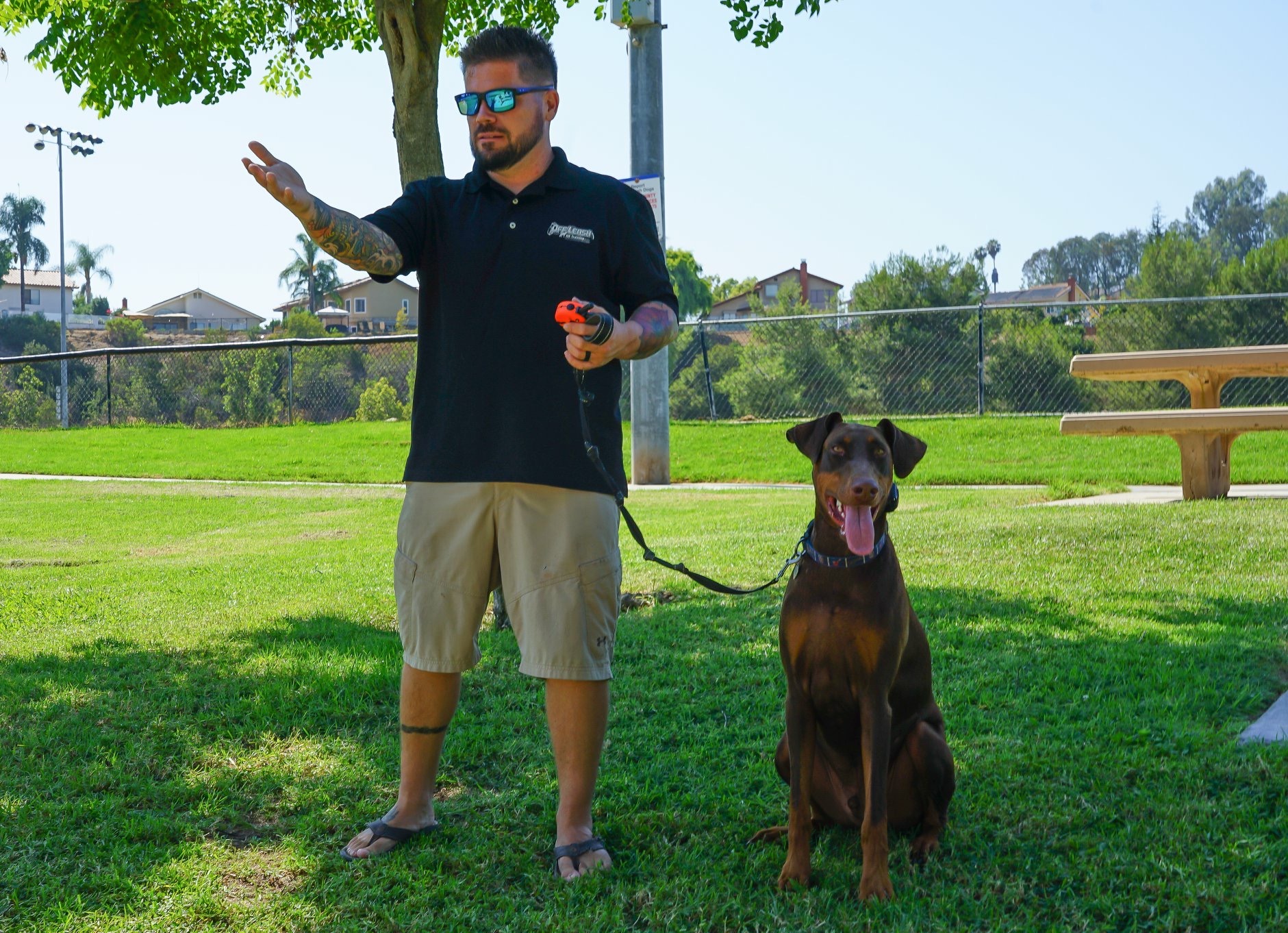 Finding the right dog trainer in Las Vegas Nv