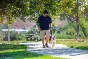 Finding  the right dog trainer in Las Vegas Nv.