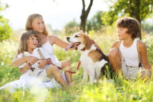 Top 10 dog breeds for Families