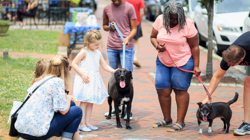 People Walking the Dog