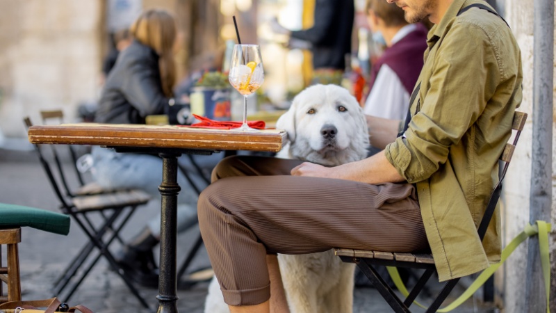 Dog-Friendly Restaurants in Las Vegas