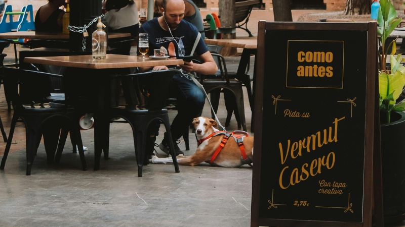 dog-friendly patios in Las Vegas